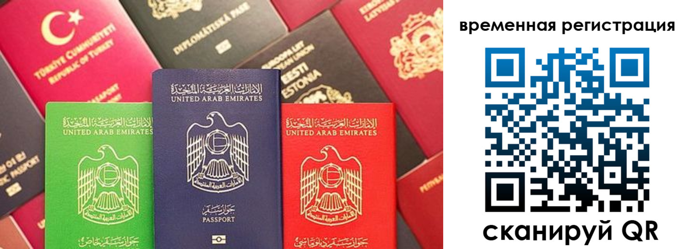 временная регистрация гарантия в Каргате